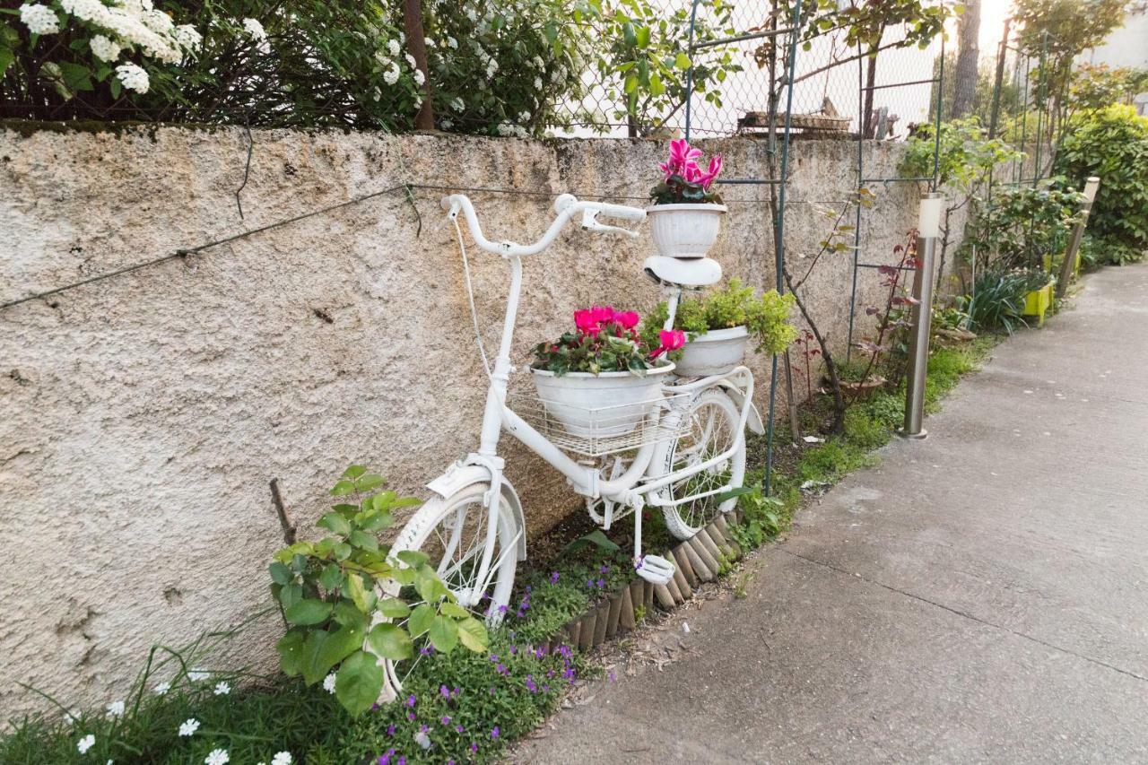 זאדאר Apartments Lili Family מראה חיצוני תמונה